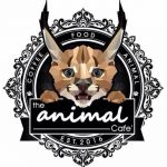 the animal cafe
