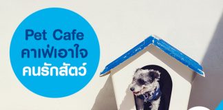 Pet Café คาเฟ่เอาใจคนรักสัตว์