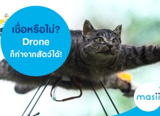 เชื่อหรือไม่เชื่อหรือไม่? Drone ก็ทำจากสัตว์ได้