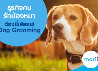 ธุรกิจคนรักน้องหมาต้องนี่เล้ยยย! Dog Grooming