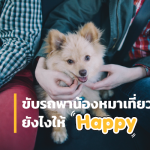 ขับรถพาน้องหมาเที่ยวยังไงให้ Happy