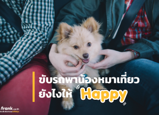 ขับรถพาน้องหมาเที่ยวยังไงให้ Happy