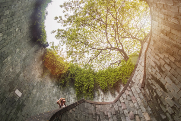 5 ที่เที่ยวสิงคโปร์ ฉบับสายเขียว เที่ยวชมธรรมชาติ - มาสิบล็อก | Masii Blog