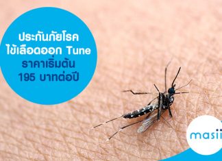 ประกันภัยโรคไข้เลือดออก Tune ราคาเริ่มต้น 195 บาทต่อปี