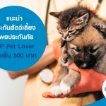 แนะนำประกันสัตว์เลี้ยง ทิพยประกันภัย TIP Pet Lover เบี้ยเริ่ม 500 บาท