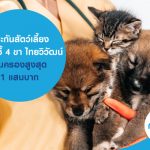 ประกันสัตว์เลี้ยง เพื่อนซี้ 4 ขา ไทยวิวัฒน์ คุ้มครองสูงสุด 1 แสนบาท