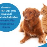 ห้ามพลาด! งาน PET Expo Thailand 2022 พฤษภาคมนี้ พร้อมทำ ประกันสัตว์เลี้ยง คุ้มครองเพื่อนซี้สี่ขา น้องหมา น้องแมว ที่คุณรัก