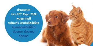 ห้ามพลาด! งาน PET Expo Thailand 2022 พฤษภาคมนี้ พร้อมทำ ประกันสัตว์เลี้ยง คุ้มครองเพื่อนซี้สี่ขา น้องหมา น้องแมว ที่คุณรัก