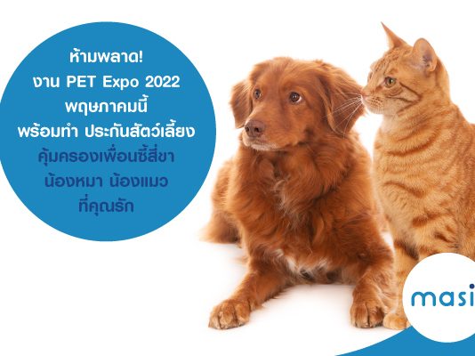 ห้ามพลาด! งาน PET Expo Thailand 2022 พฤษภาคมนี้ พร้อมทำ ประกันสัตว์เลี้ยง คุ้มครองเพื่อนซี้สี่ขา น้องหมา น้องแมว ที่คุณรัก