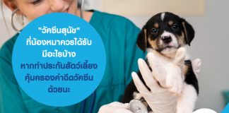 "วัคซีนสุนัข" ที่น้องหมาควรได้รับ มีอะไรบ้าง หากทำ ประกันสัตว์เลี้ยง คุ้มครองค่าฉีดวัคซีนด้วยนะ