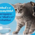 ให้เพื่อนซี้ 4 ขา ของคุณสนุกได้เต็มที่ ด้วยการดูแลจาก ประกัน "เพื่อนซี้ 4 ขา" จากไทยวิวัฒน์